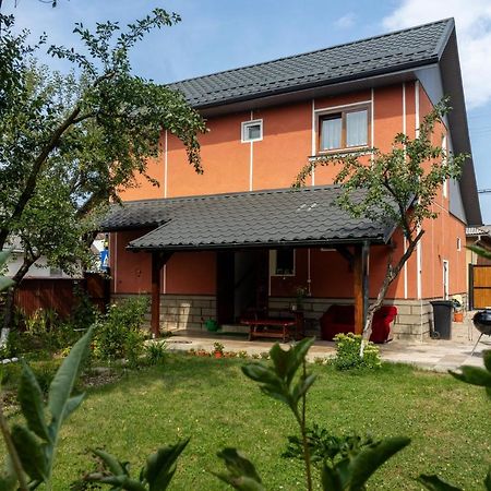Generous Family Home Viseu de Sus Ngoại thất bức ảnh
