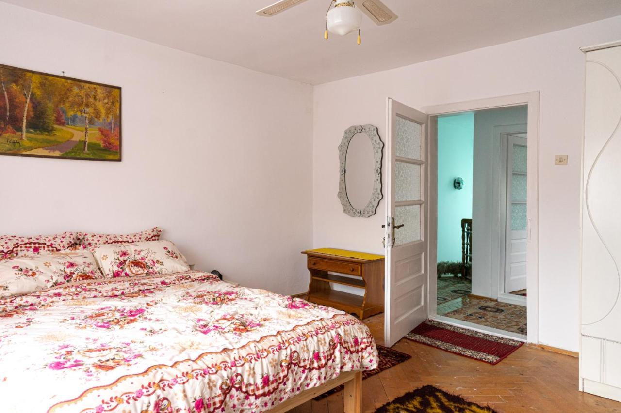 Generous Family Home Viseu de Sus Ngoại thất bức ảnh