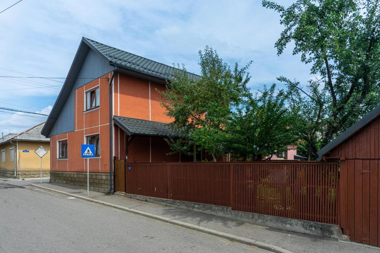 Generous Family Home Viseu de Sus Ngoại thất bức ảnh